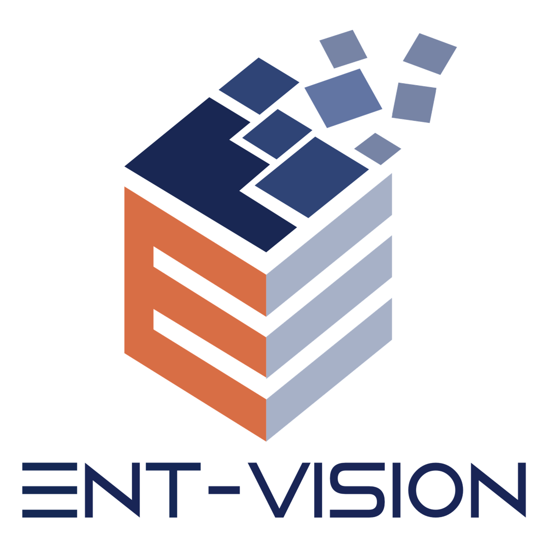 ENT Vision.png